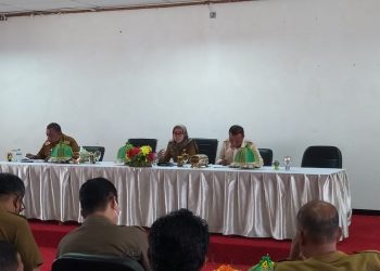 Iis Elianti Tekankan Jajaran OPD, Camat dan Desa Sukseskan Perayaan Hari Jadi Kabupaten Buton Ke- 63 Tahun