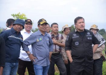 Kementan Berikan Bantuan Bibit Pala dan Jagung Seluas 150 Hektar