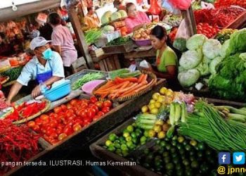 Ini Strategi Pemerintah Dorong Ketahanan Pangan