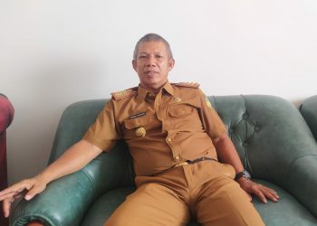 Siap-Siap, Seleksi PPPK Bakal Dibuka November