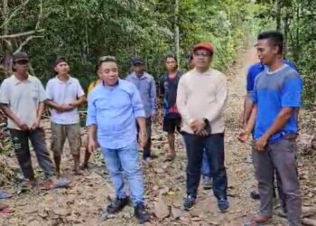 Jawab Impian Para Petani, Syarifudin Saafa Bantu Pembangunan Jalan Tani dan Jembatan di Kamaru