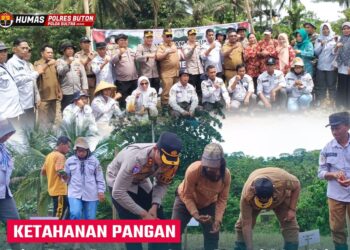 Ikuti Penanaman Jagung Serentak 1 Juta Hektar, Camat Lasalimu Selatan Dukung Penuh Program Nasional untuk Swasembada Pangan